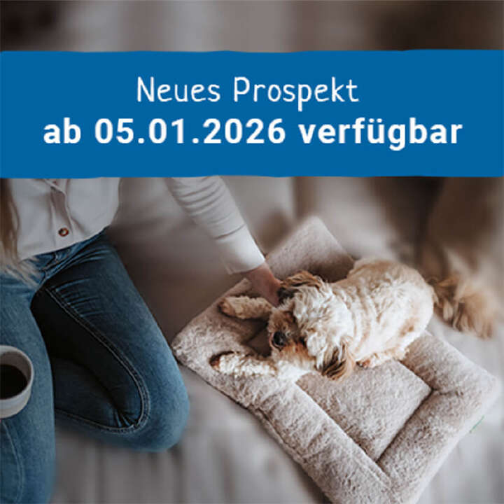 frau mit hund indoor 2